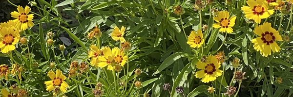 pscrombar Profile Banner