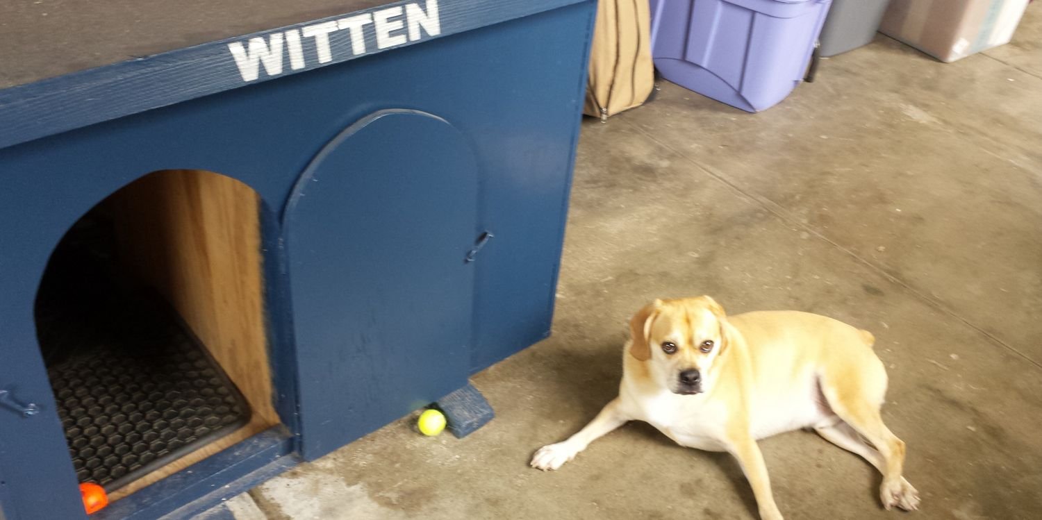 WittenHound's profile banner image