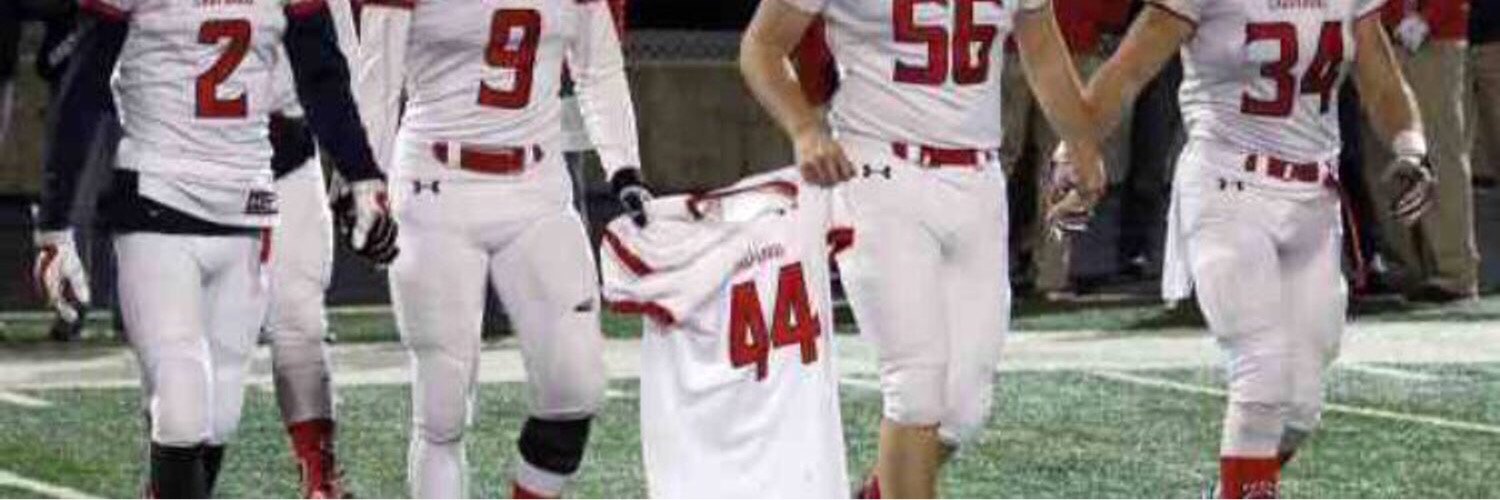 Wolverines Football banner