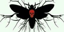 LaesfingeArg's profile banner image