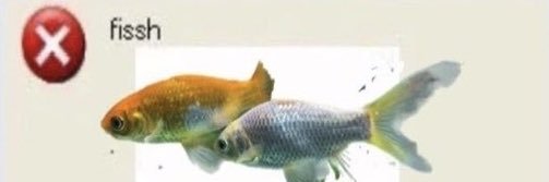 digiaquarium's profile banner image