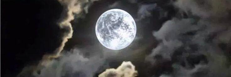 Luna OM's banner