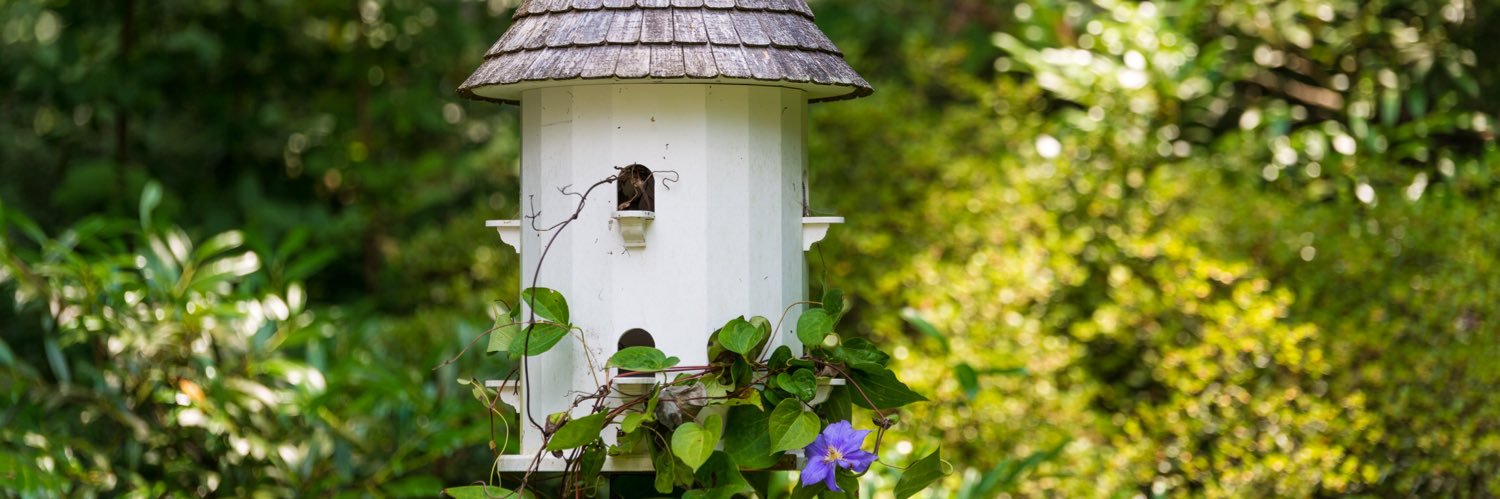 Sara Marbaugh banner