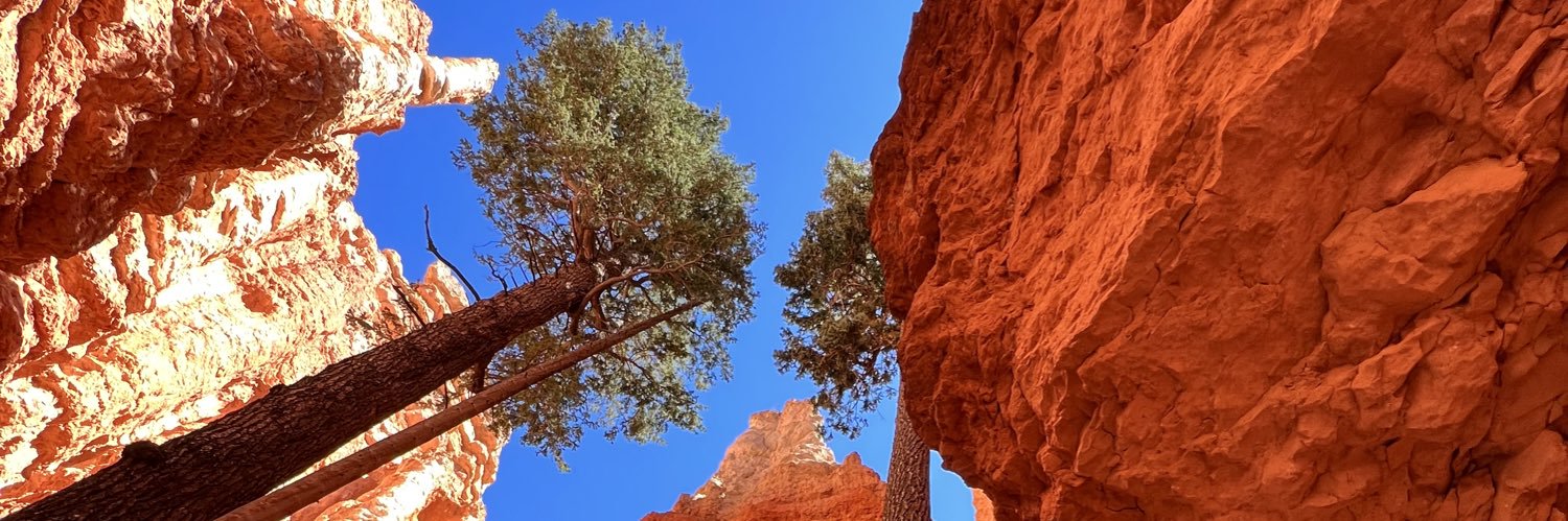 Matt Ehrhardt banner