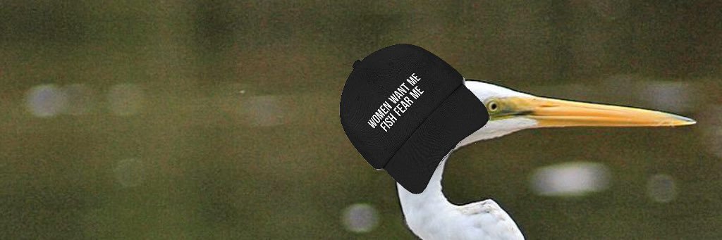 ottoz0n3's profile banner image