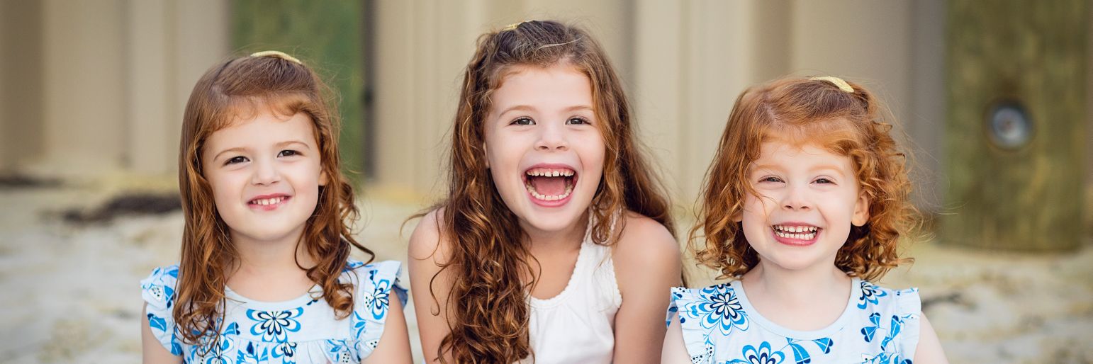 Mary Ellen Meehan banner