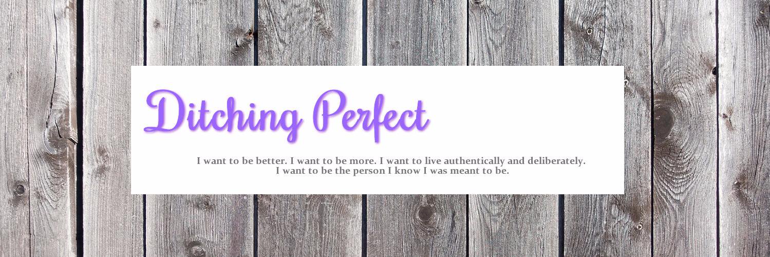 ditchingperfect's profile banner image