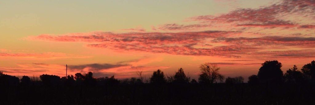 josecafferata_'s profile banner image