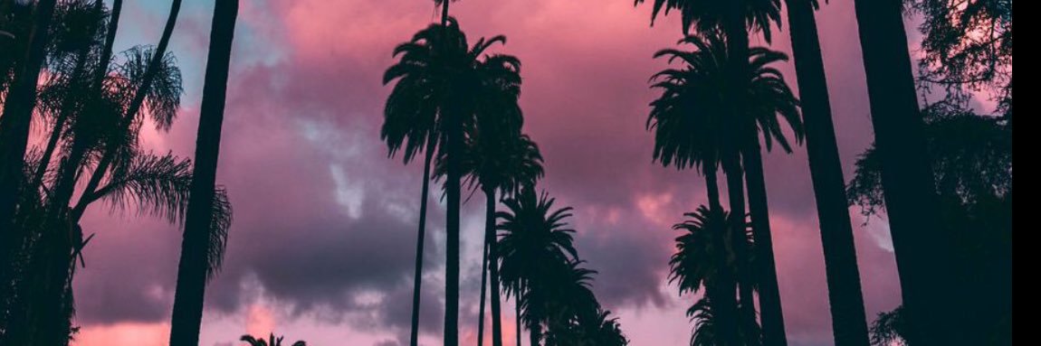 Curvy_luv's profile banner image