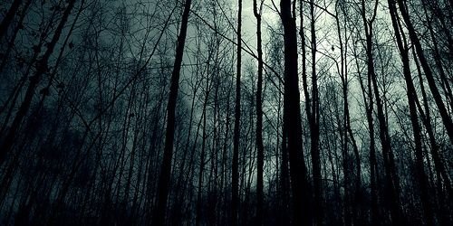 Warrier_Jake's profile banner image