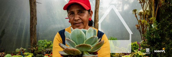 IPESBogota Profile Banner