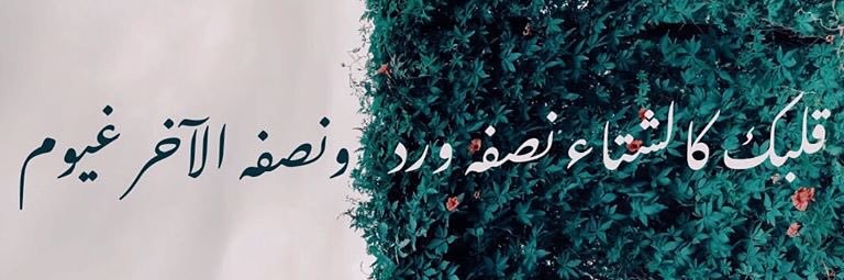 reham_maram's profile banner image