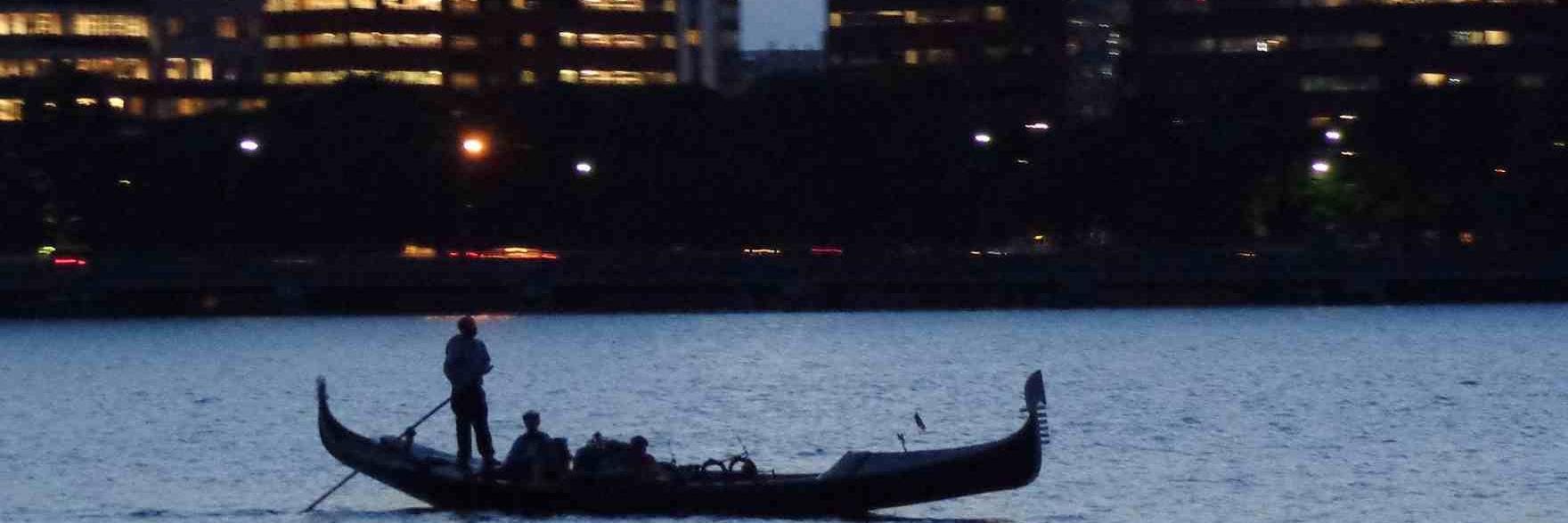 David Correll banner