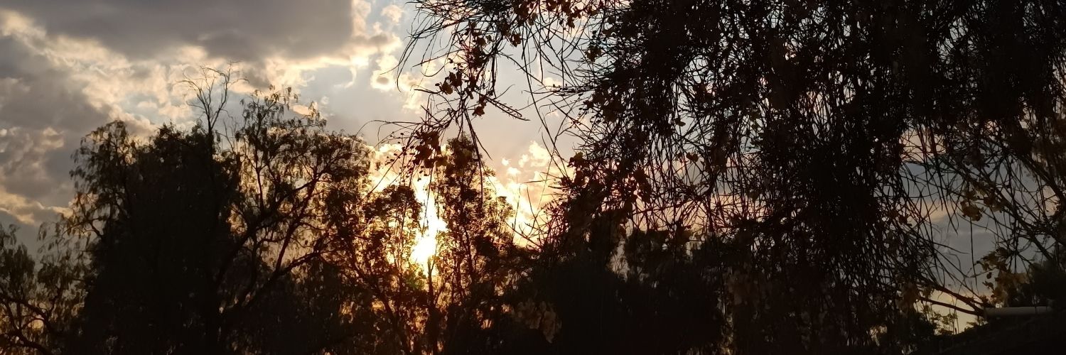 Xaver_E1's profile banner image