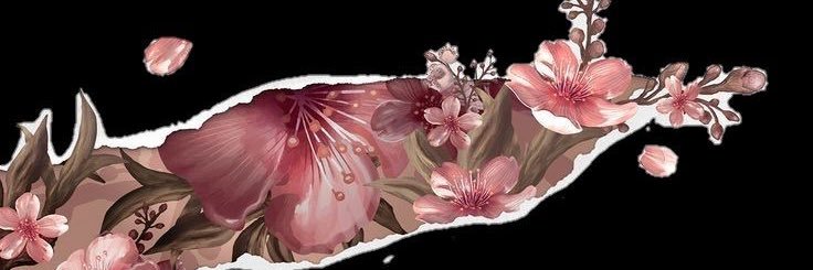 witchpiratc's profile banner image
