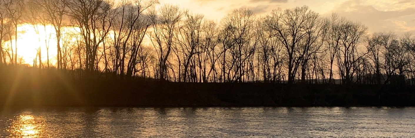 EricaDuke2000's profile banner image