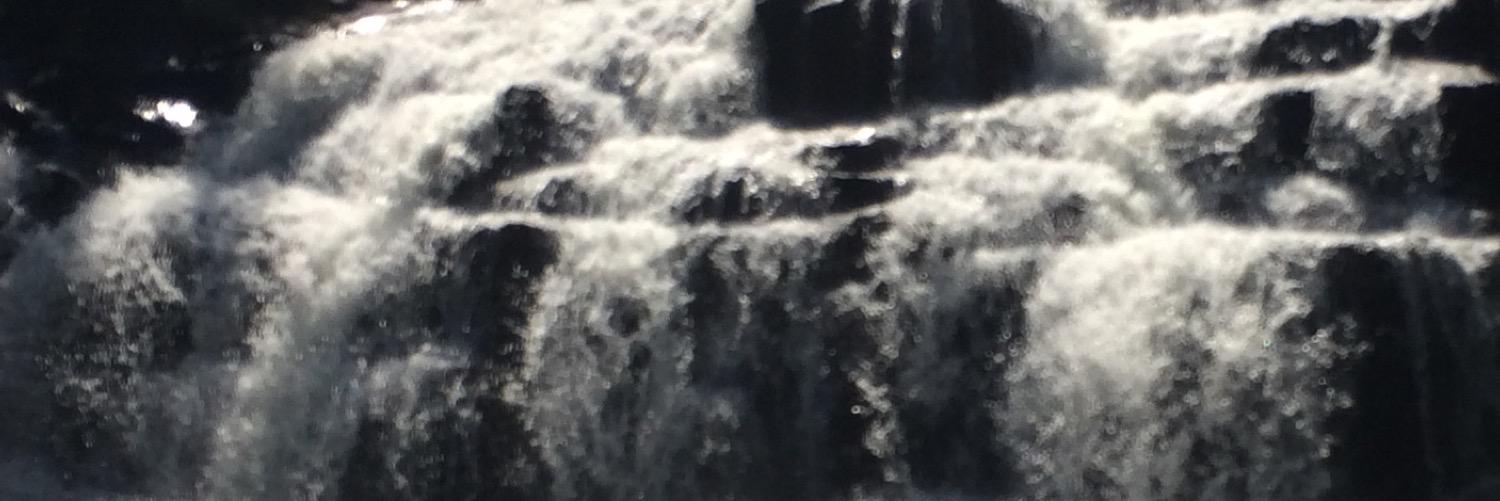 CollinCarrier66's profile banner image