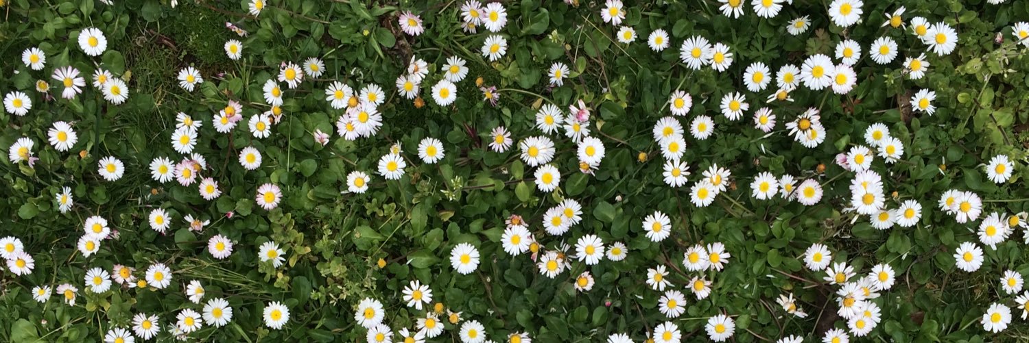 Moncho Núñez banner