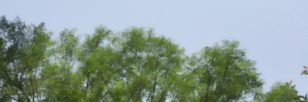 fatim110's profile banner image