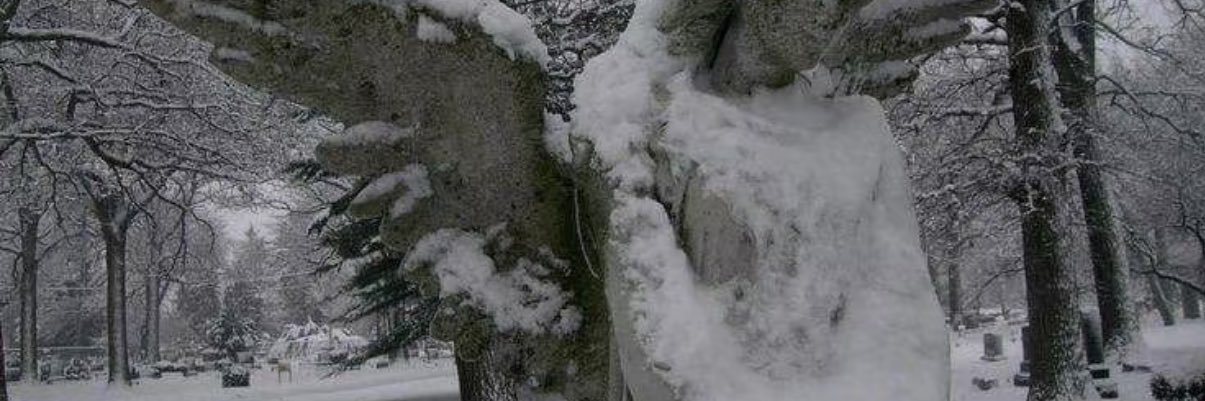 kkano00's profile banner image