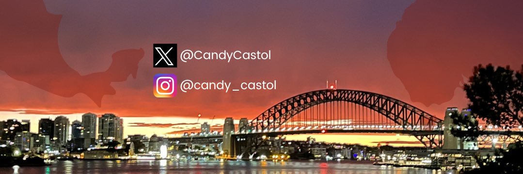 CandyCastol's profile banner image