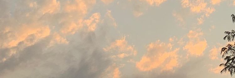 _natbry's profile banner image