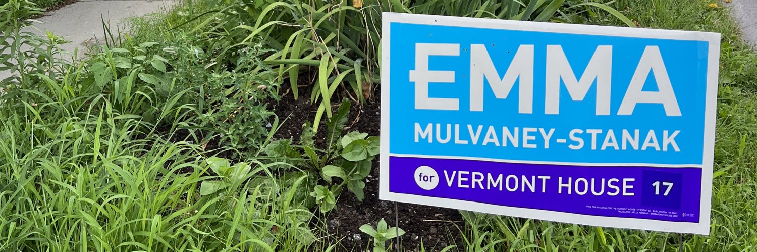 Emma Mulvaney-Stanak banner