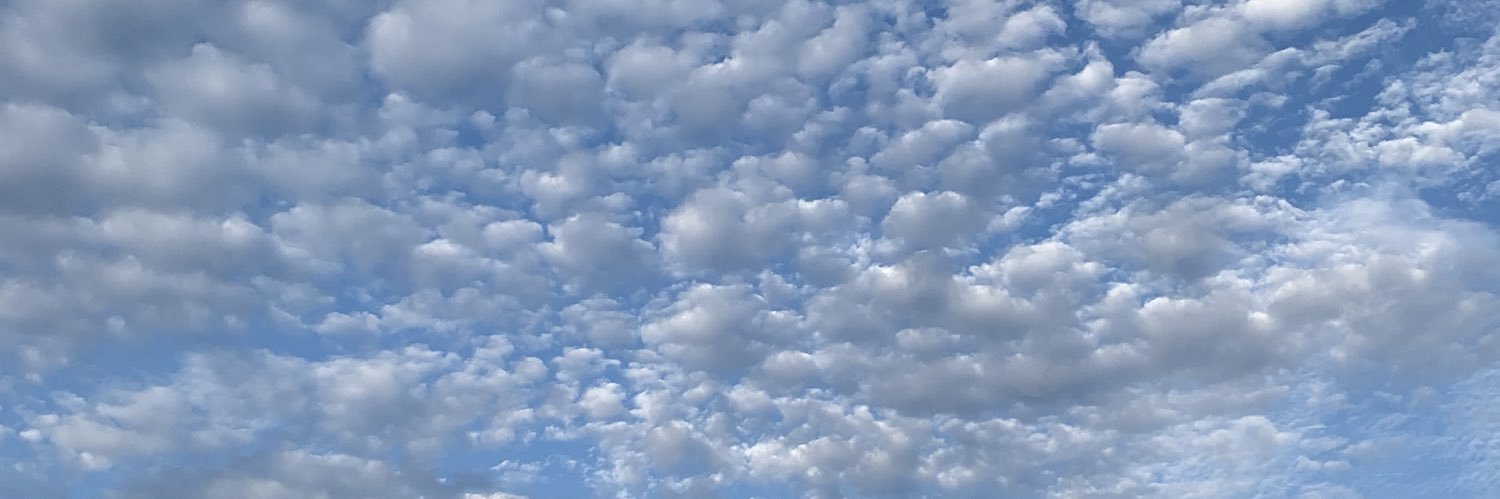 tnflood's profile banner image