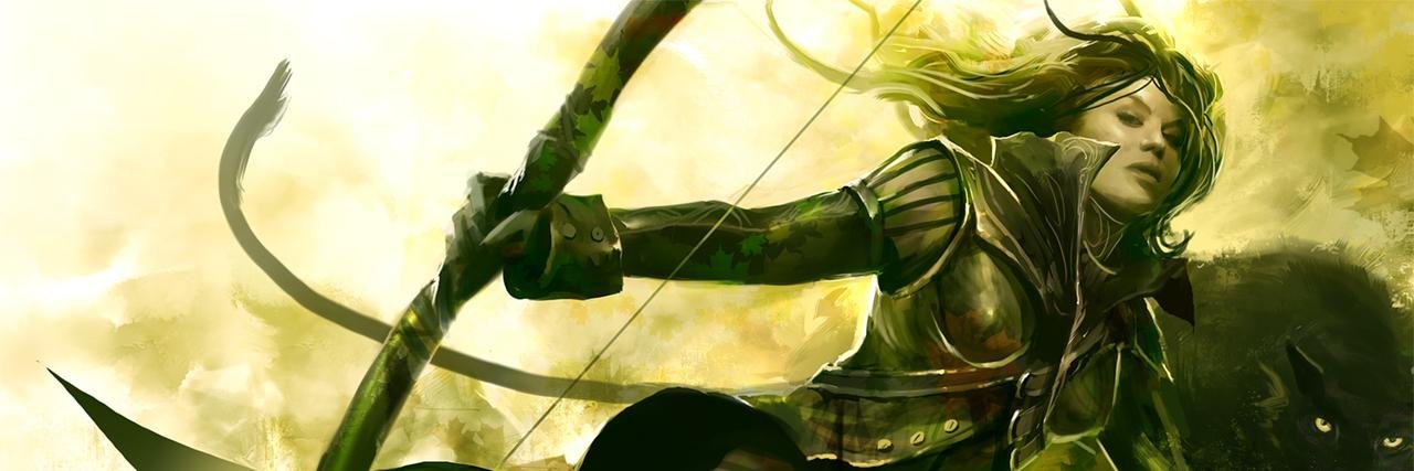 tom_hawack's profile banner image
