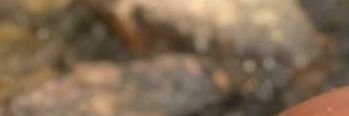 Boy_Novinho's profile banner image