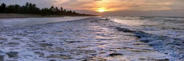 managuac Profile Banner