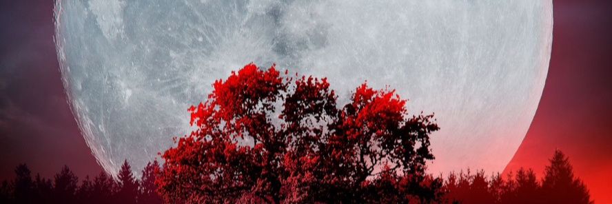 CaptainMW99's profile banner image