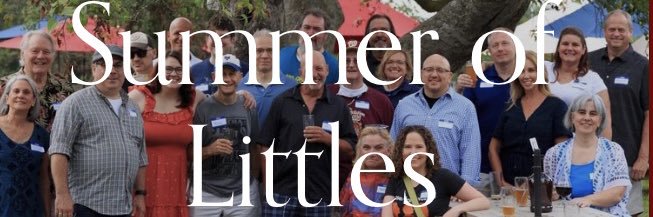 Summer of Littles banner