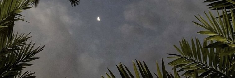 cabomami's profile banner image