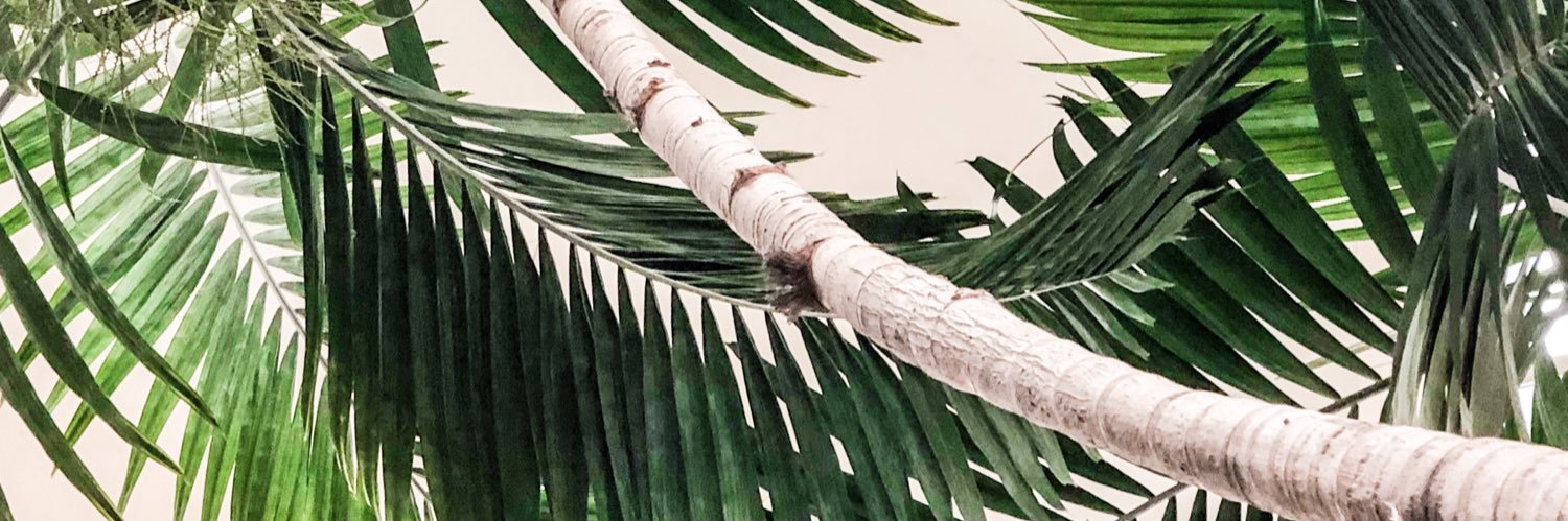 KimLevell's profile banner image