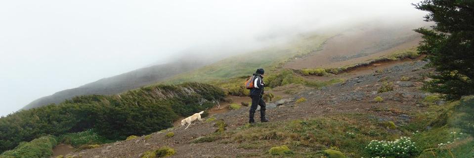 mpvasquezr's profile banner image