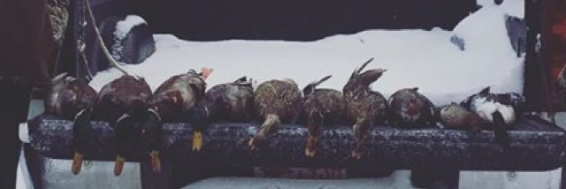 JHousfly's profile banner image