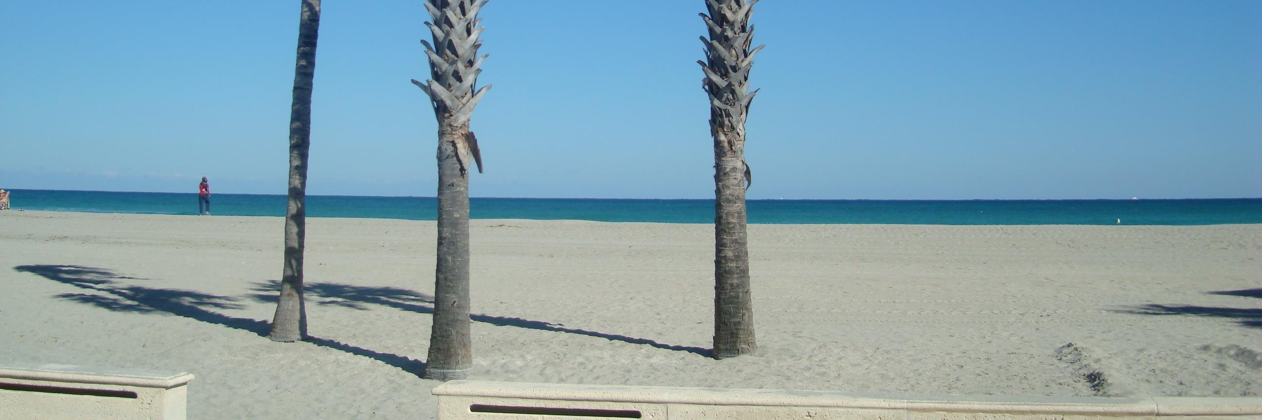 reciprocante's profile banner image