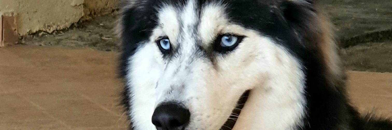 AngelJorge_19's profile banner image