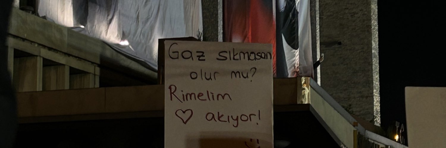 ekinglsrn's profile banner image