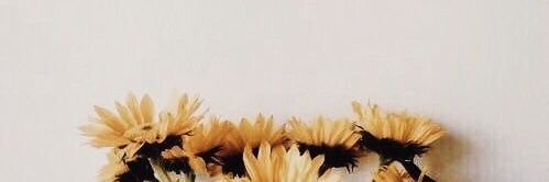 micabenedetti's profile banner image