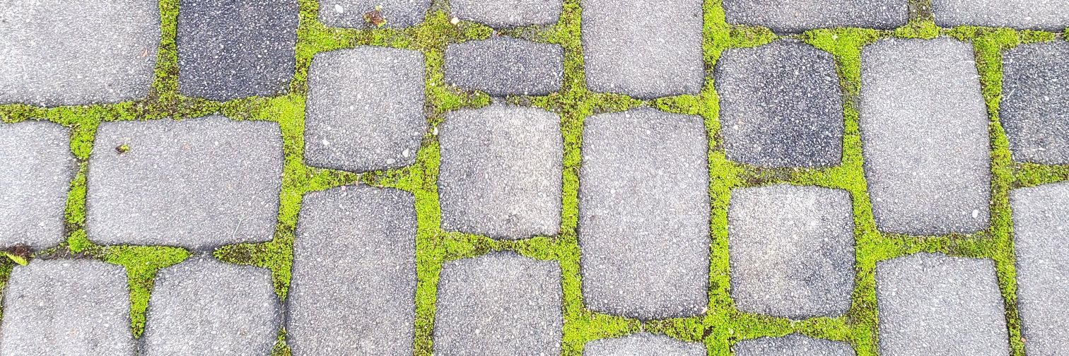 Emily Friedman banner