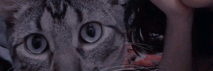 PollitoAzul__'s profile banner image