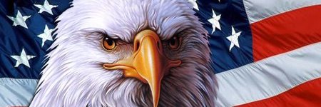 63Cat's profile banner image