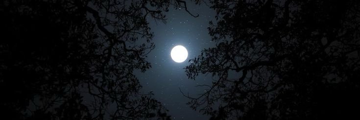 moonscarredmind's profile banner image