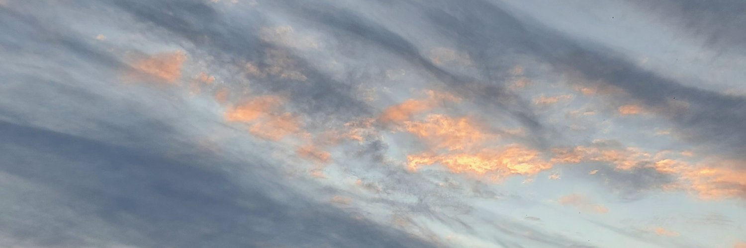 meninasdl's profile banner image