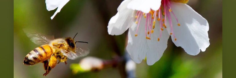 ZByambajav's profile banner image