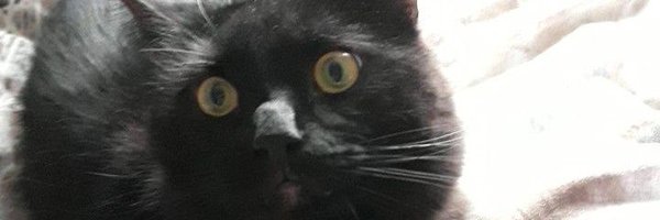 emmaa_wtf Profile Banner