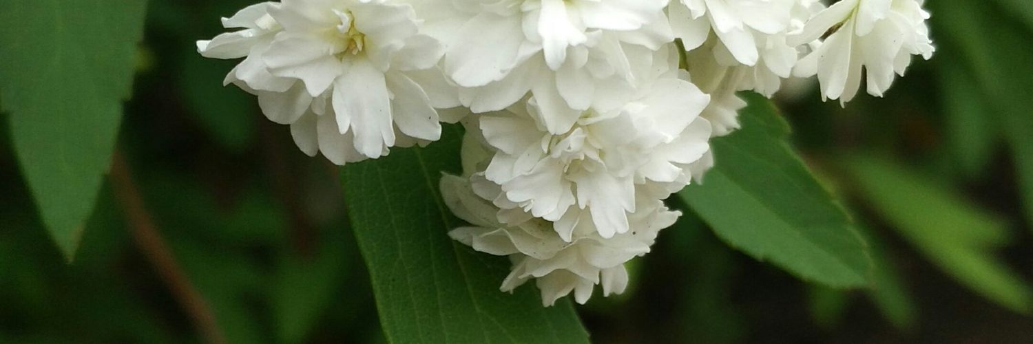 karenzus's profile banner image