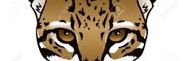 VPSOcelot's profile banner image
